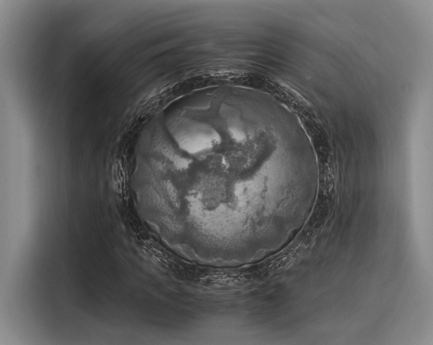 X0000116050917200911271215