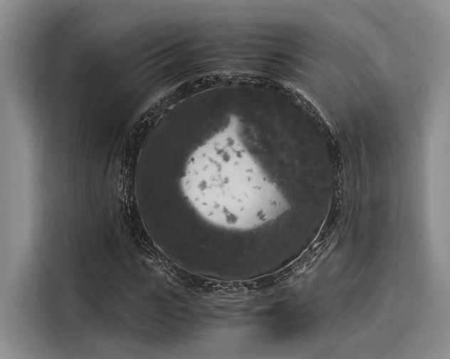 X0000116050919200911271215