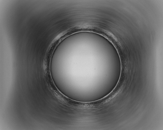 X0000116050922200911271215