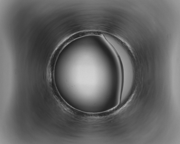 X0000116050925200911271215