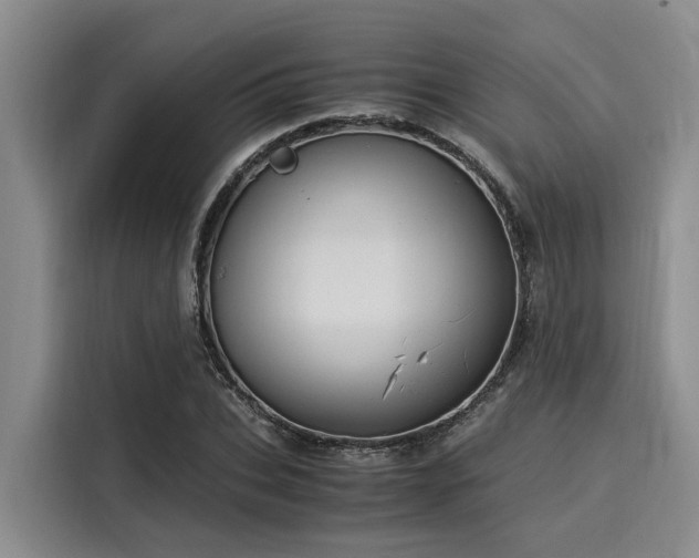 X0000116050927200911271215