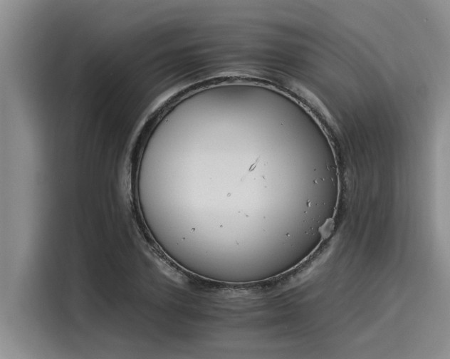 X0000116050931200911271215