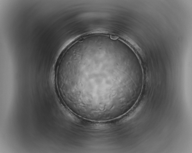 X0000116050933200911271215