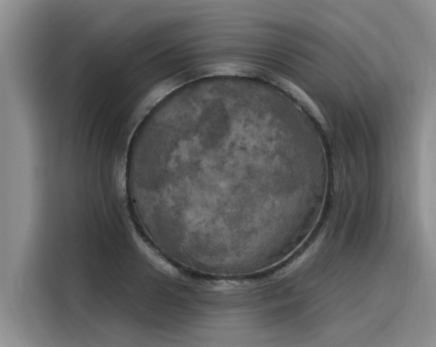X0000116050938200911271215