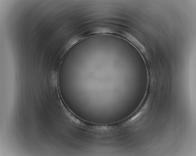 X0000116050945200911271215