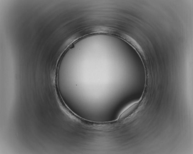 X0000116050946200911271215