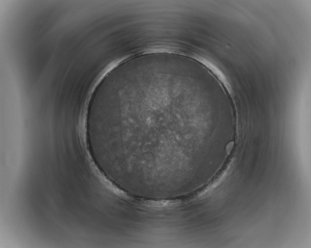 X0000116050949200911271215