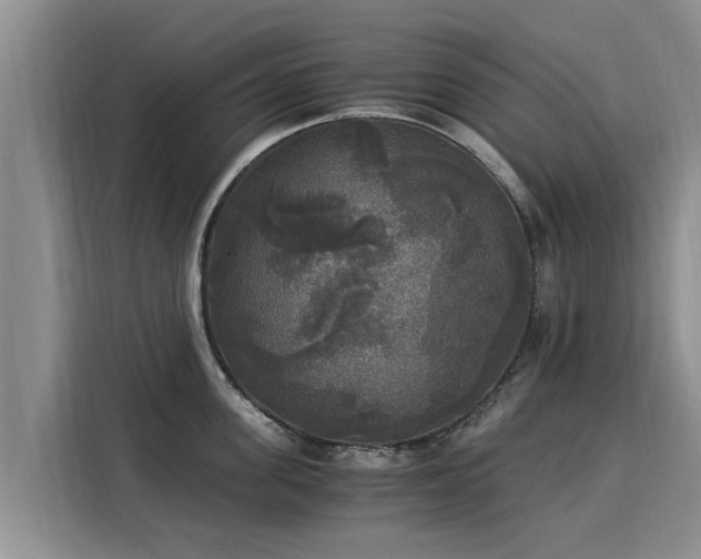 X0000116050955200911271215