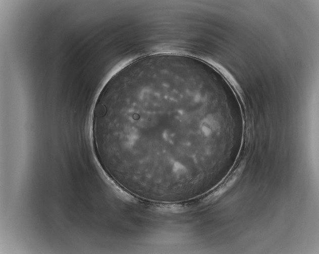 X0000116050957200911271215