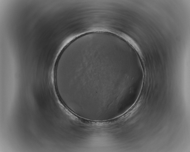 X0000116050958200911271215