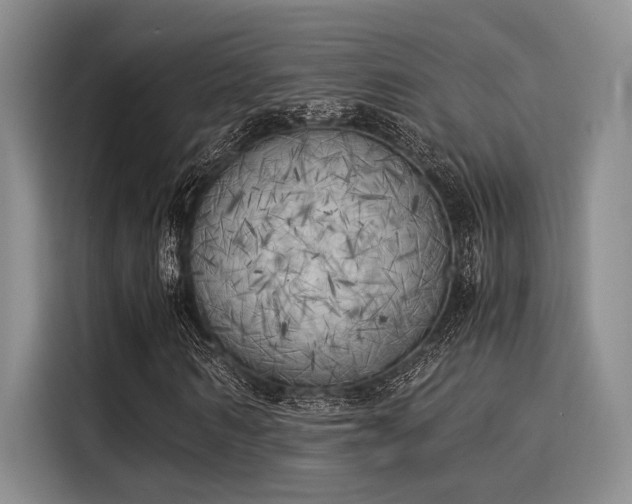 X0000116050962200911271215
