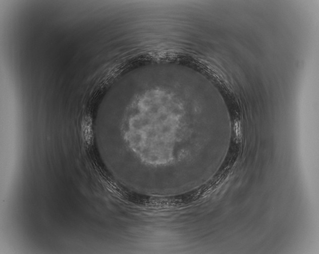 X0000116050963200911271215