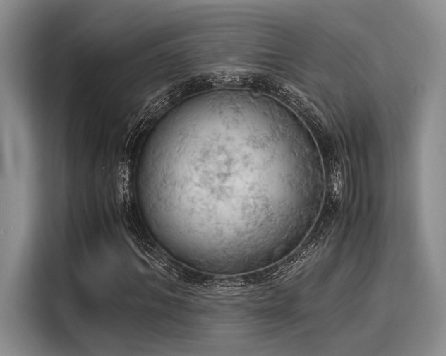 X0000116050964200911271215