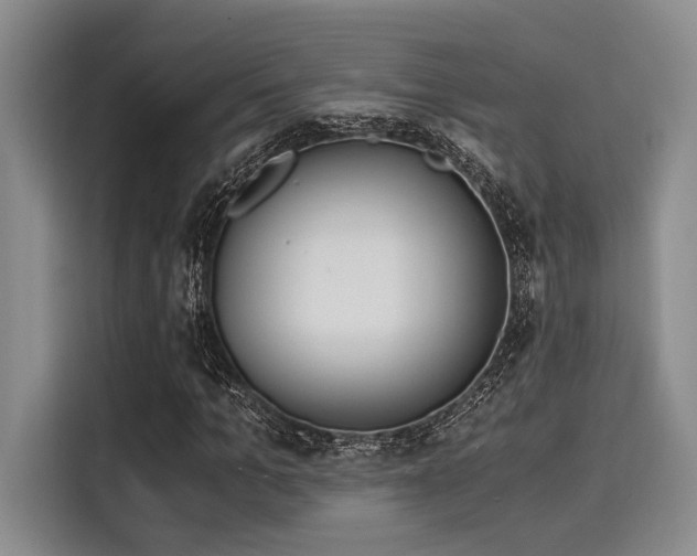X0000116050965200911271215