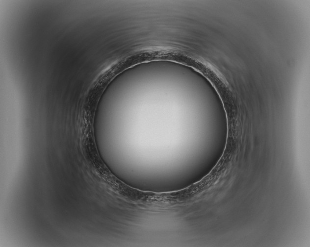 X0000116050967200911271215