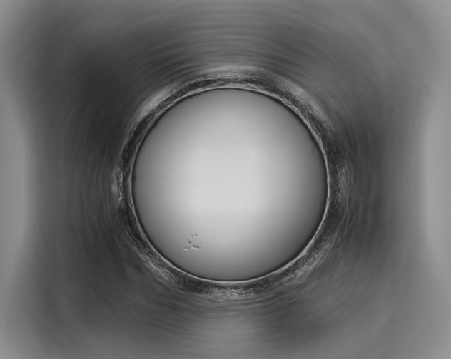 X0000116050970200911271215