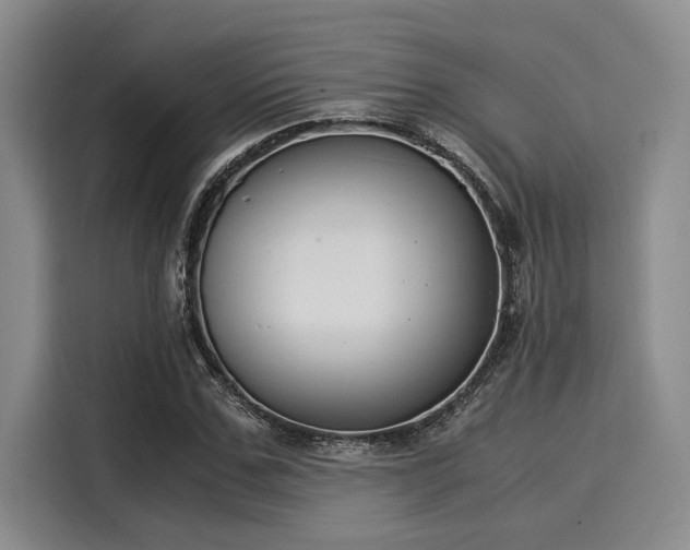 X0000116050971200911271215