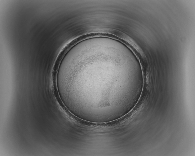 X0000116050972200911271215