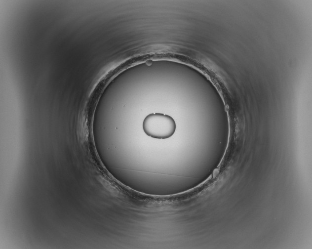 X0000116050973200911271215
