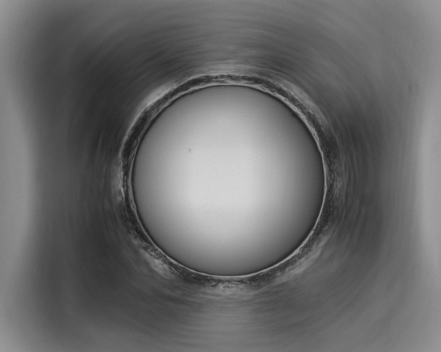 X0000116050974200911271215