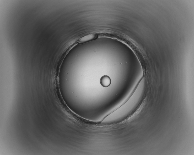 X0000116050977200911271215