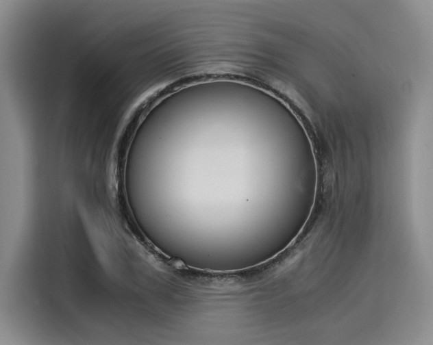 X0000116050979200911271215