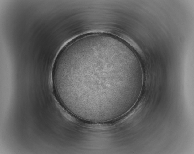 X0000116050980200911271215