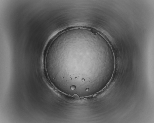 X0000116050982200911271214