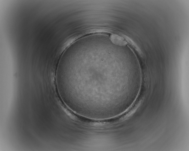 X0000116050985200911271214