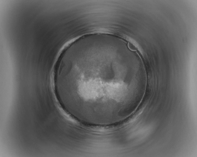 X0000116050987200911271214