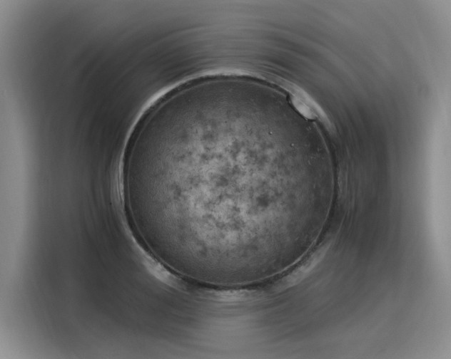 X0000116050988200911271214