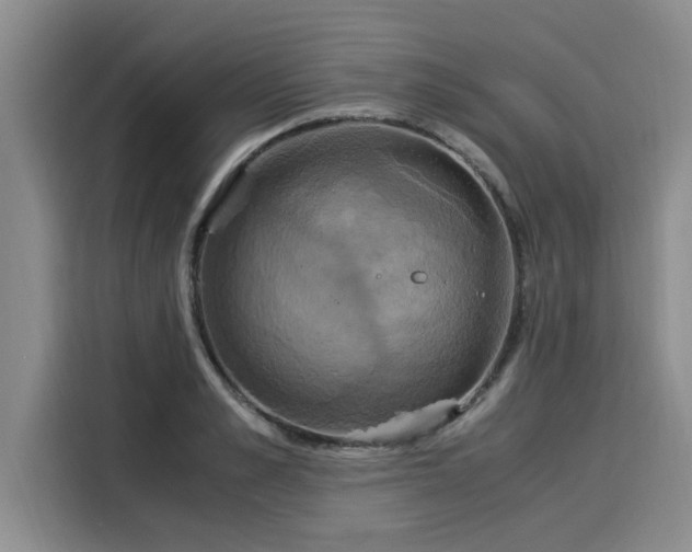 X0000116050989200911271214