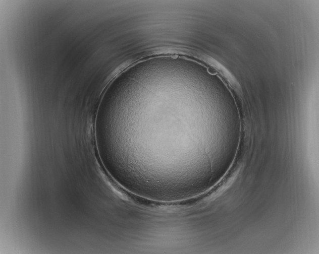 X0000116050993200911271214