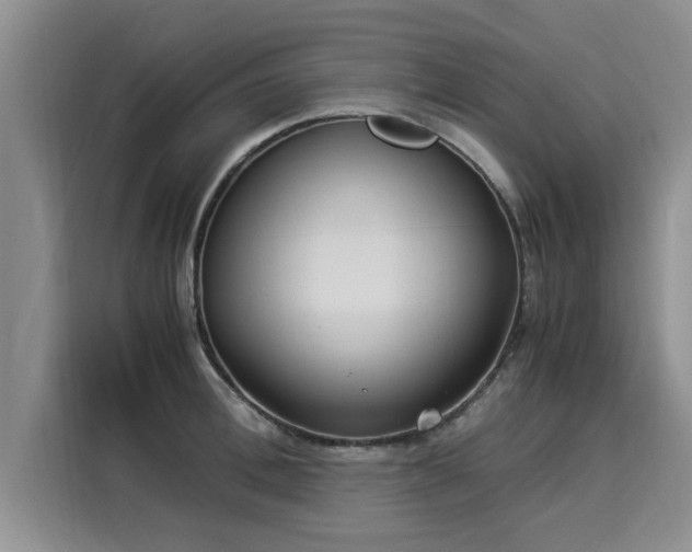 X0000116050996200911271214
