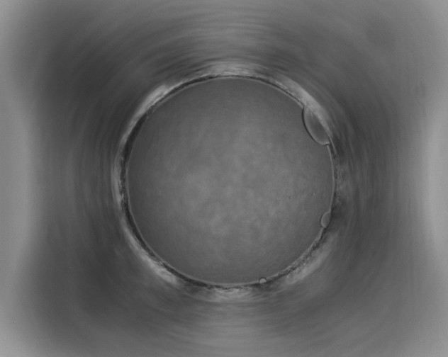 X0000116050997200911271214