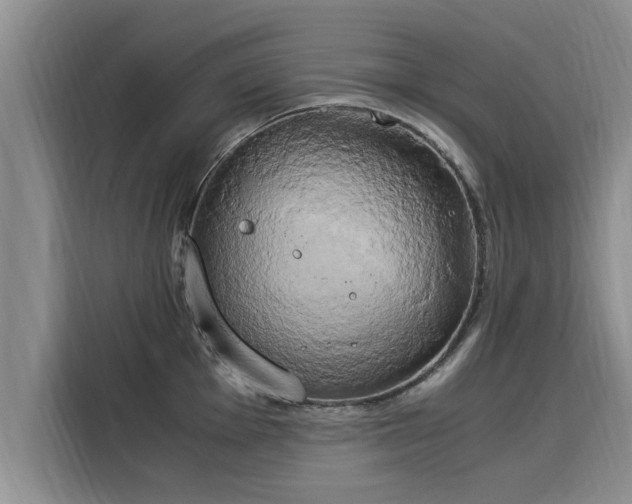 X0000116051001200911271214