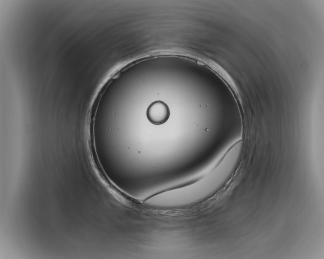 X0000116051005200911271214