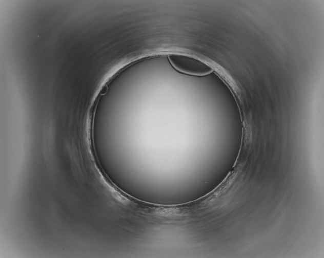 X0000116051006200911271214