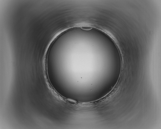 X0000116051008200911271214