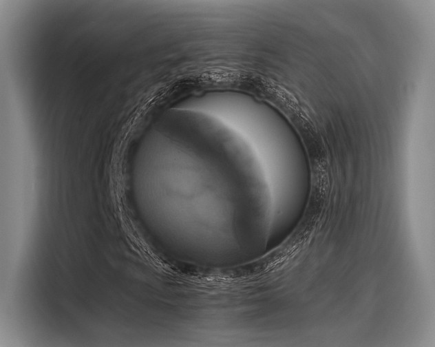 X0000116051009200911271214