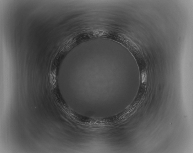 X0000116051011200911271214