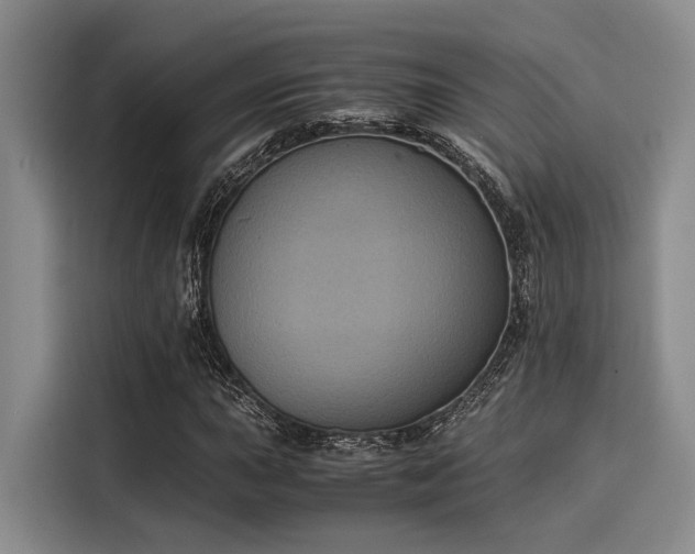 X0000116051015200911271214