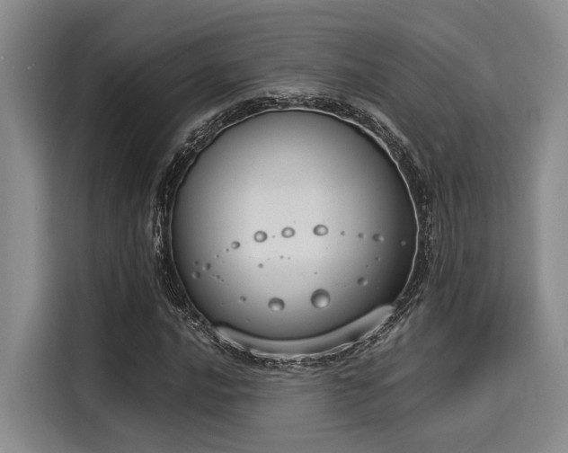 X0000116051016200911271214