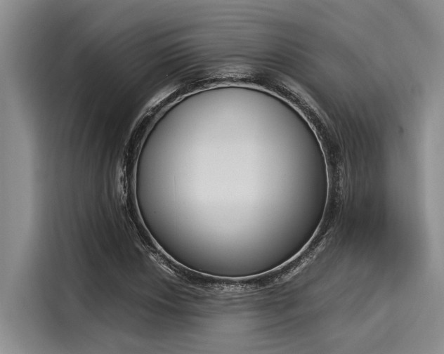 X0000116051018200911271214