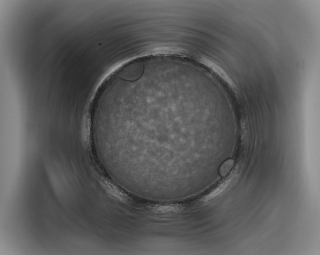 X0000116051021200911271214