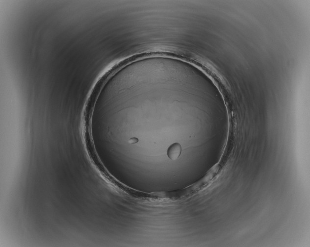 X0000116051024200911271214