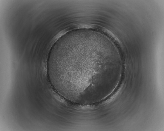 X0000116051025200911271214