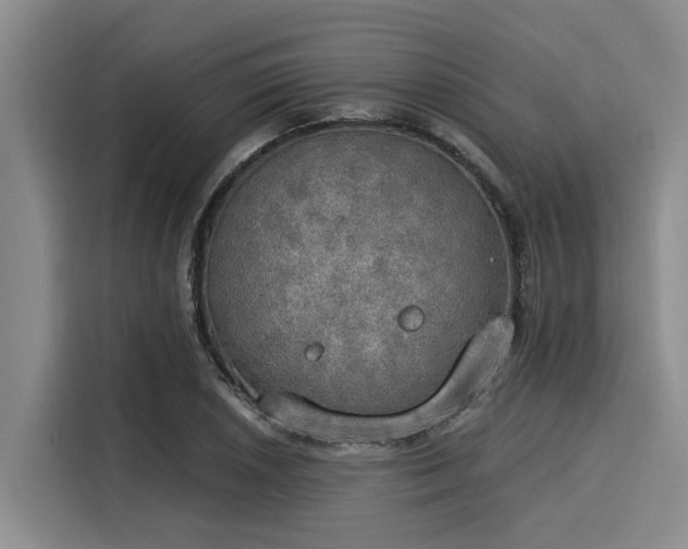 X0000116051026200911271214