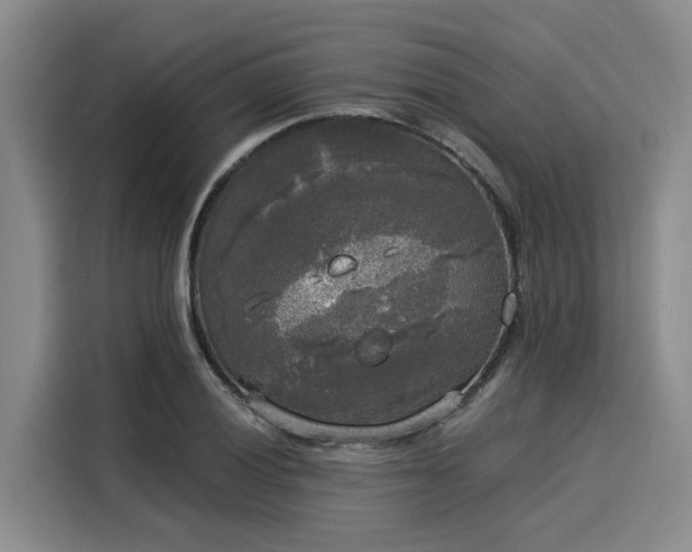 X0000116051028200911271214