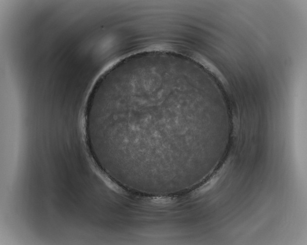 X0000116051029200911271214